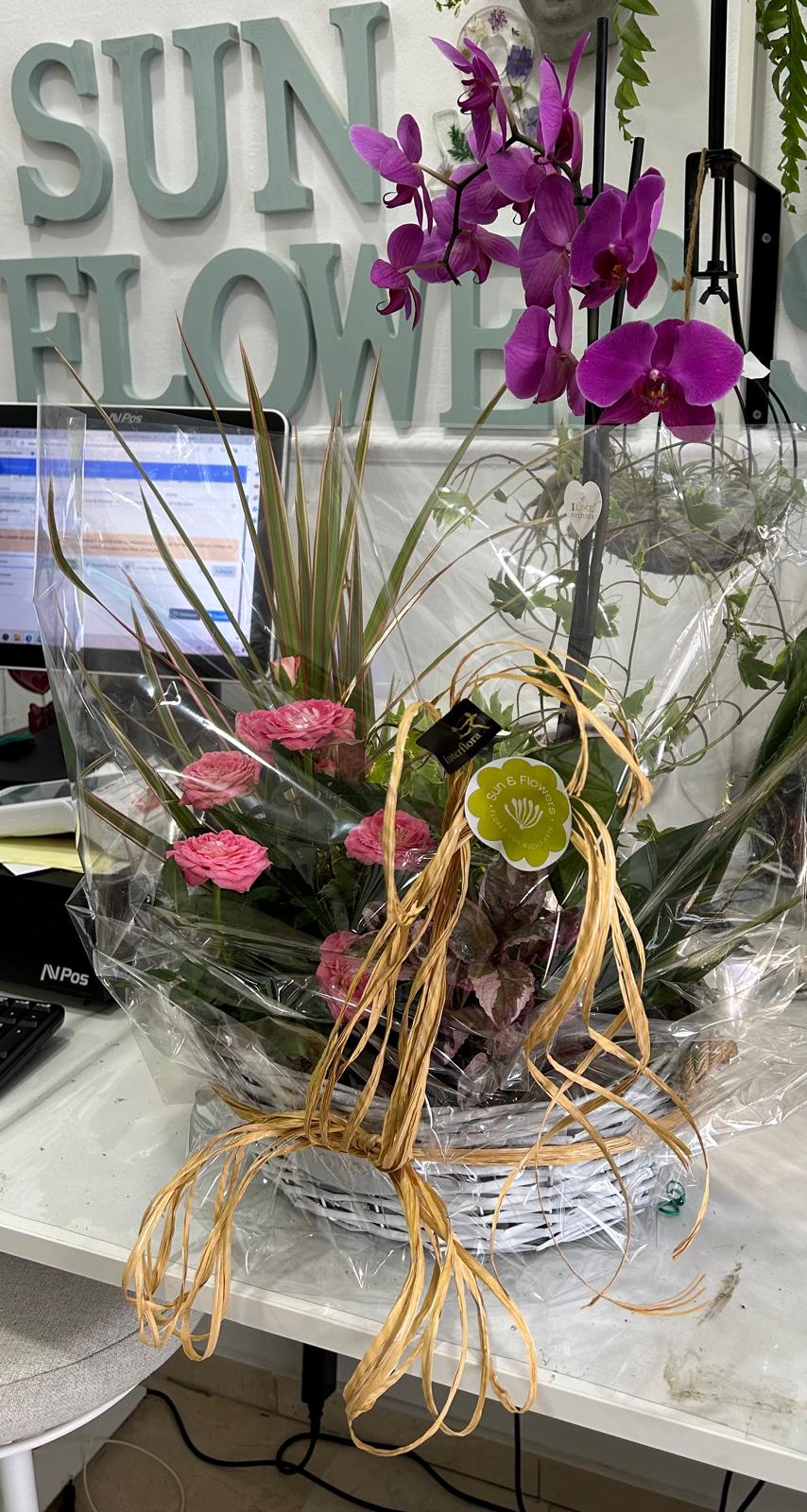 CESTA 2 ORQUIDEAS